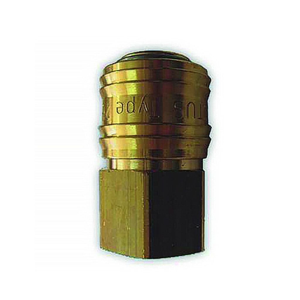 KAPLİN GRUBU (DİŞİ GÖVDE)