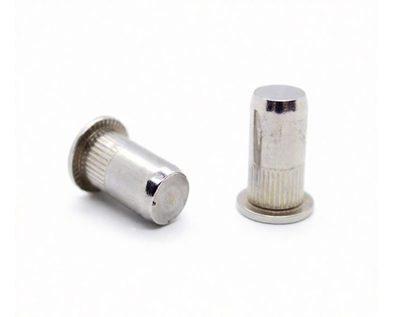 Somunlu Perçin Sızdırmaz İnox Yuvarlak Gövde Flanş Kafa